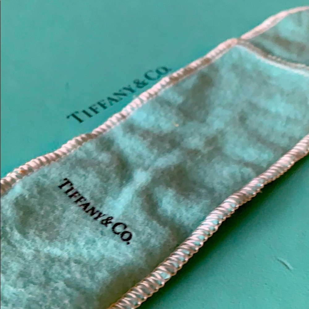 Tiffany box and dust bag